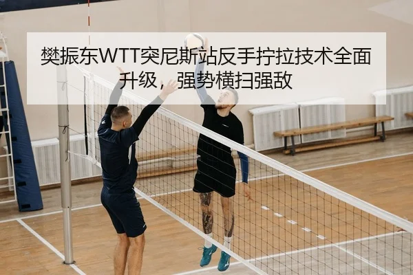 樊振东WTT突尼斯站反手拧拉技术全面升级，强势横扫强敌